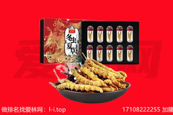 唐山市迁安回收虫草.jpg